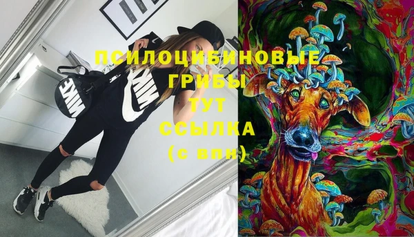 амф Майский